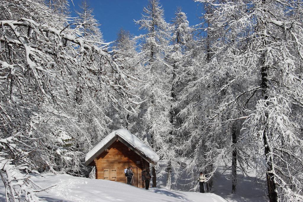 La Petite Etoile D'Hotes En Mercantour Saint-Dalmas-le-Selvage Exterior foto